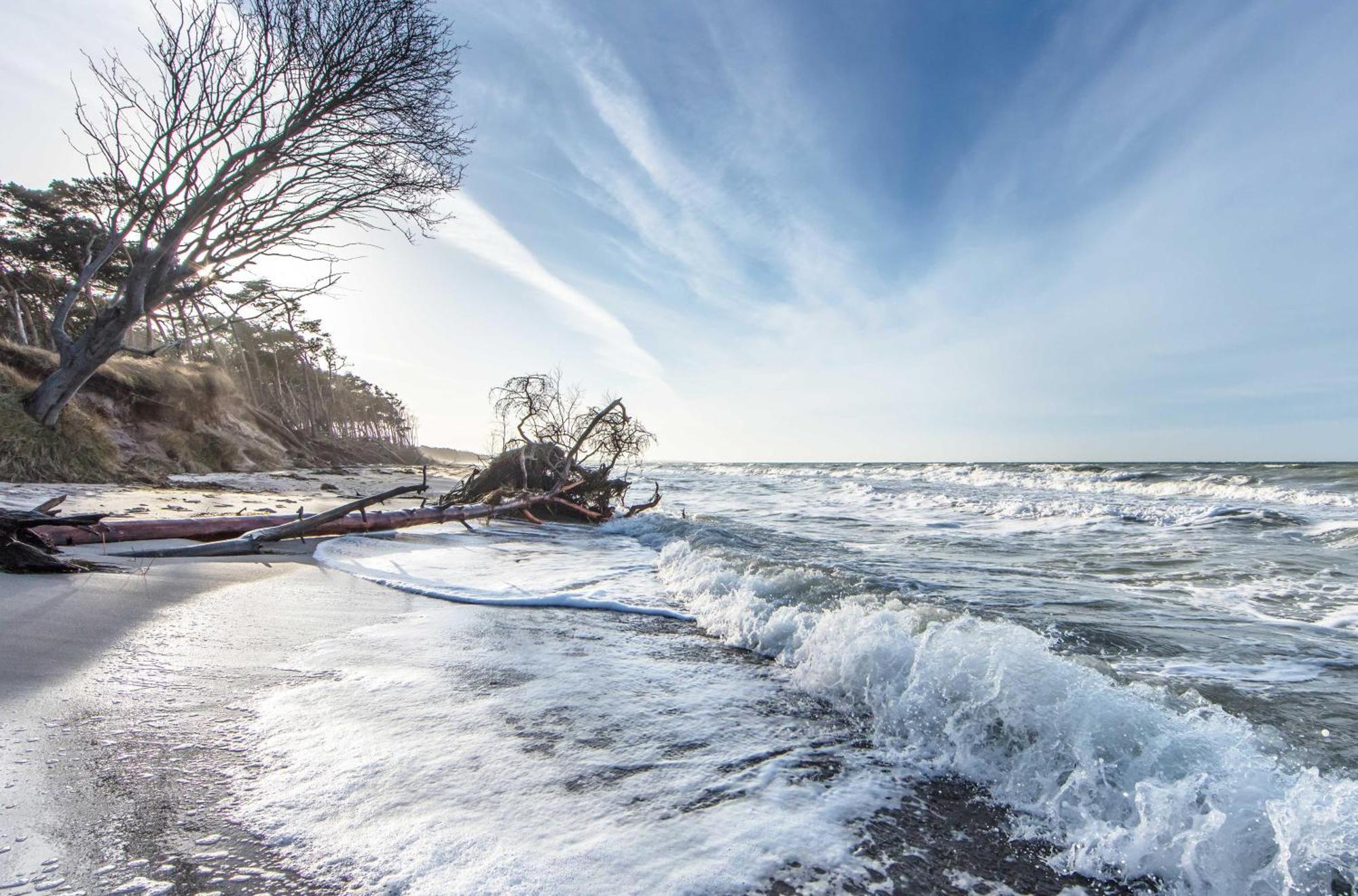 Seehund An Der Seebruecke Zingst Exterior photo